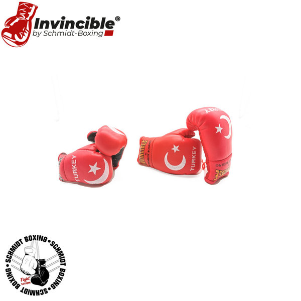 Invincible-Mini-Boxhandschuhe Turkey