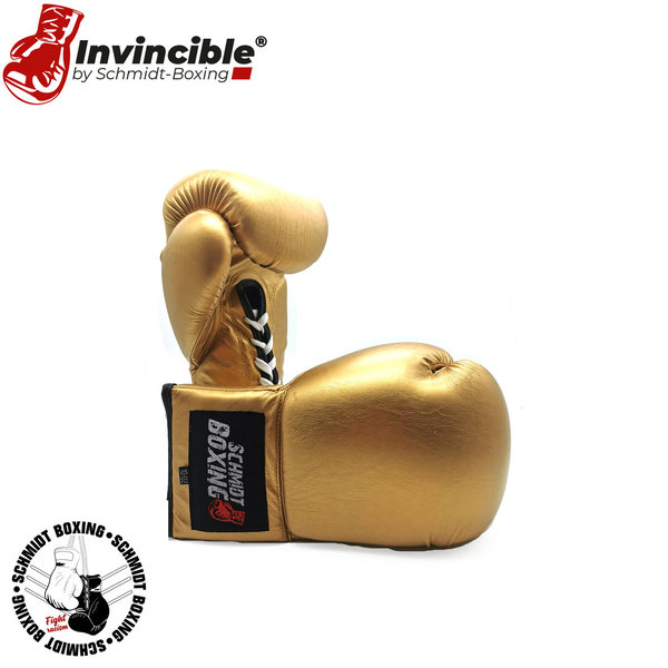 Invincible-Golden Gloves